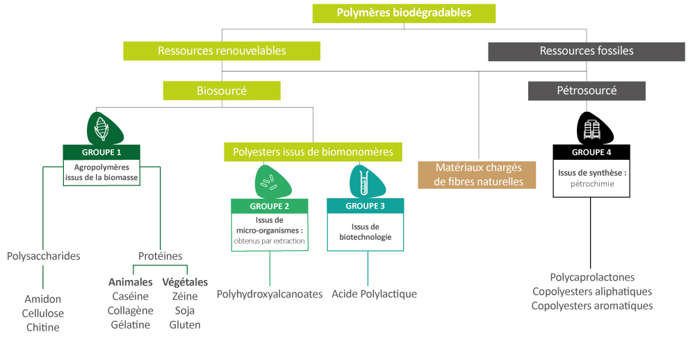Schéma polymères biodégradables