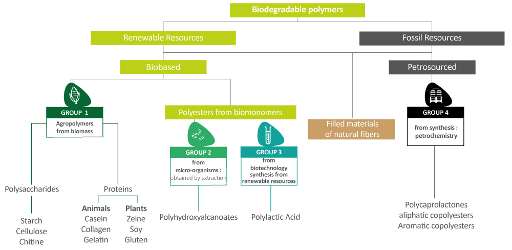 Biodegradable polymer scheme