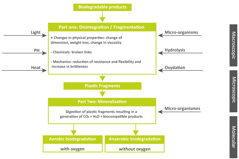Biodegradation scheme
