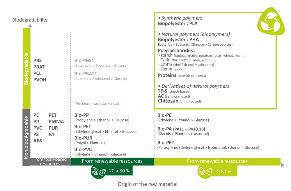 Diagram of biopolymer category